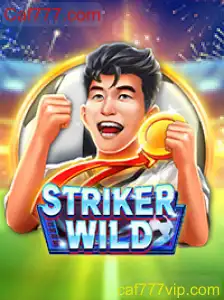 Explorando o Universo de StrikerWILD: Um Guia Completo